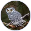 Trivia Spin Level 73 Owl
