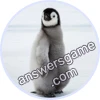 Trivia Spin Level 73 Penguin