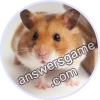 Trivia Spin Level 117 Hamster