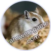 Trivia Spin Level 117 Mongolian gerbil