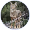 Trivia Spin Level 136 Coyote