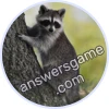 Trivia Spin Level 136 Raccoon
