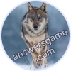 Trivia Spin Level 136 Wolf