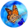 Trivia Spin Level 163 Butterfly
