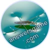 Trivia Spin Level 163 Water strider