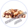 Trivia Spin Level 216 Brazil nut