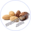 Trivia Spin Level 216 Kola nut