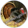 Trivia Spin Level 223 Turkey