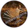 Trivia Spin Level 253 Numbat