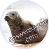 Trivia Spin Level 253 Seal