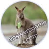 Trivia Spin Level 253 Wallaby