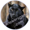Trivia Spin Level 295 Panthera