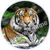 Trivia Spin Level 295 Tiger