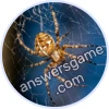 Trivia Spin Level 318 Araneus