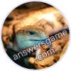 Trivia Spin Level 318 Blue- tongue lizard