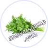 Trivia Spin Level 323 Parsley