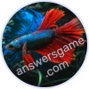 Trivia Spin Level 330 Fighting fish
