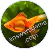 Trivia Spin Level 330 Goldfish