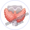 Trivia Spin Level 360 Thyroid gland