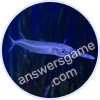 Trivia Spin Level 443 Pipefish
