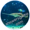 Trivia Spin Level 443 Sawfish