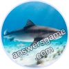 Trivia Spin Level 443 Tiger shark