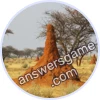 Trivia Spin Level 457 Termites