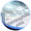 Trivia Spin Level 514 Ice hockey