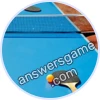 Trivia Spin Level 514 Table tennis