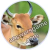 Trivia Spin Level 535 Banteng