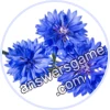 Trivia Spin Level 543 Cornflower
