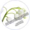 Trivia Spin Level 543 Lily of the valley