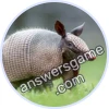 Trivia Spin Level 545 Armadillo