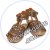 Trivia Spin Level 596 Gladiator sandals