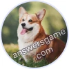 Trivia Spin Level 627 Welsh Corgi