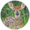 Trivia Spin Level 713 Bambi