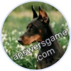 Trivia Spin Level 753 Doberman