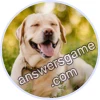Trivia Spin Level 753 Labrador Retriever