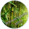 Trivia Spin Level 797 Bamboo