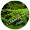 Trivia Spin Level 797 Moss