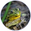 Trivia Spin Level 826 American bullfrog
