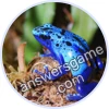 Trivia Spin Level 826 Poison dart frog