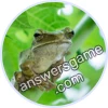 Trivia Spin Level 826 Shrub frog