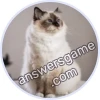 Trivia Spin Level 836 Birman