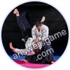 Trivia Spin Level 847 Aikido