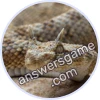 Trivia Spin Level 860 Desert horned viper