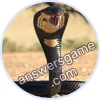 Trivia Spin Level 860 King cobra
