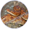Trivia Spin Level 860 Rainbow boa