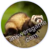 Trivia Spin Level 913 Ferret