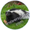 Trivia Spin Level 913 Skunk